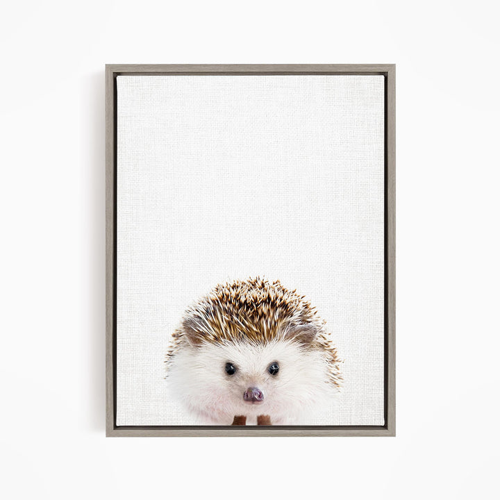 A cute hedgehog peeking out from behind a white background.