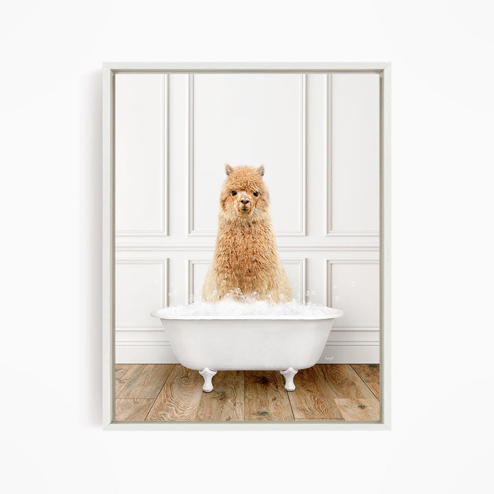 A fluffy brown alpaca sitting in a white bathtub filled with bubbles, looking directly at the camera.