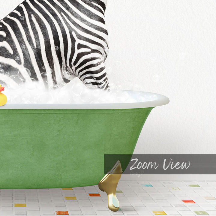 A zebra standing in a green bathtub filled with bubbles, with a rubber duck nearby.