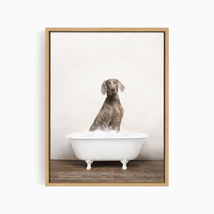 A dog sitting in a white bathtub filled with water, looking directly at the camera.