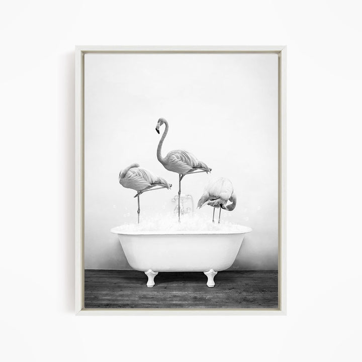 A black and white image of three flamingos standing in a white bathtub filled with water.