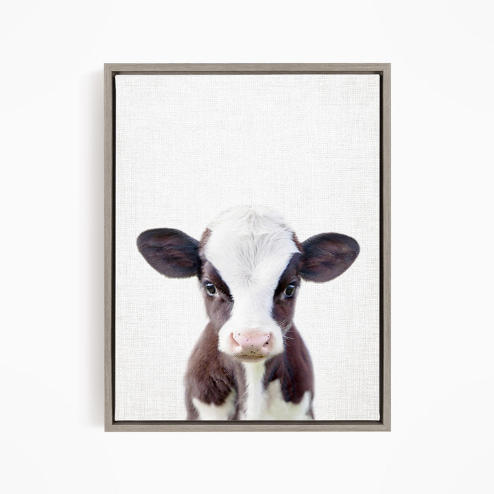 A framed image of a black and white cow with a pink nose, looking directly at the camera.