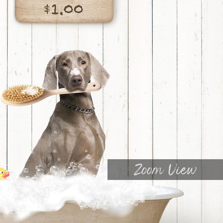 A dog is sitting in a bathtub filled with bubbles, holding a wooden brush in its mouth.