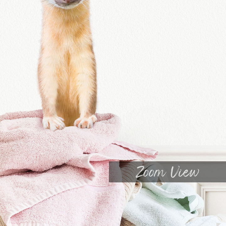 A cat sitting on a pile of pink towels, with a white wall in the background.