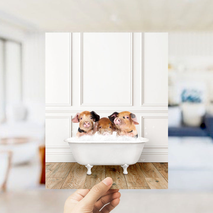 A hand holds up a framed photograph of three adorable pigs sitting in a white bathtub, with a blurred background suggesting a bathroom setting.