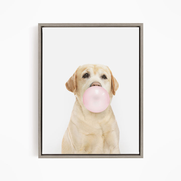 A light brown dog is sitting on a white background, blowing a pink bubble with its mouth.