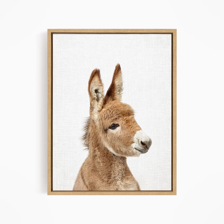 A close-up portrait of a donkey with a white face and brown ears, looking directly at the camera.