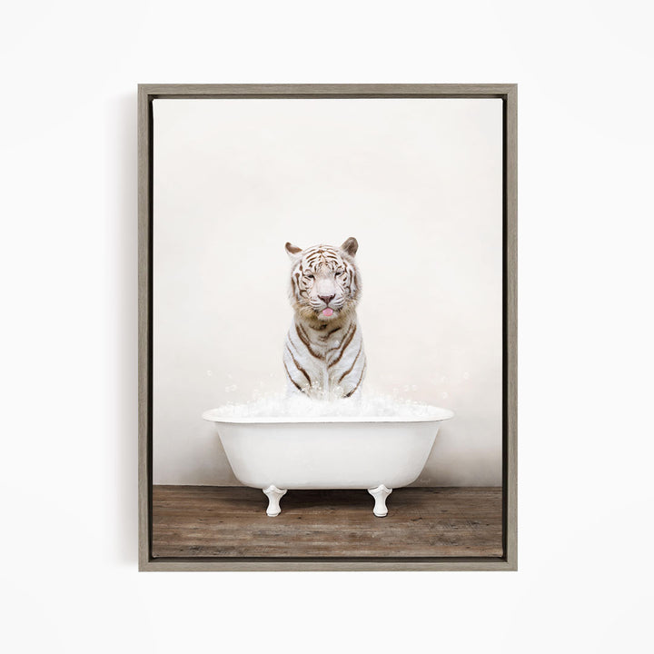 A white tiger sitting in a white bathtub filled with water, looking directly at the camera.