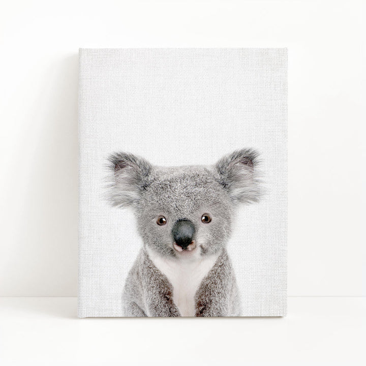 A close-up portrait of a koala bear, with its distinctive features such as its large eyes, fuzzy ears, and black nose clearly visible.