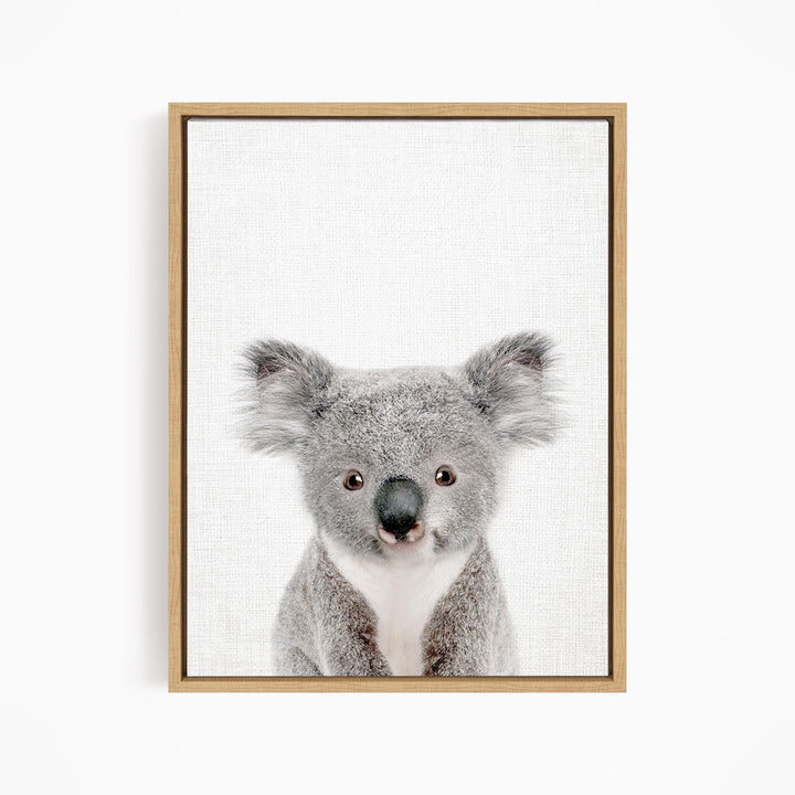 A framed photograph of a koala bear with a neutral expression, looking directly at the camera.