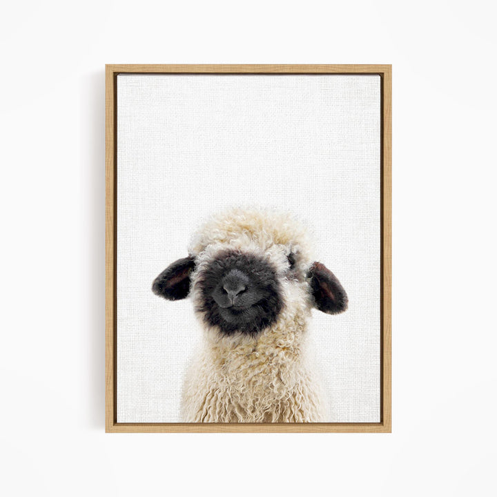 A fluffy white sheep with black markings on its face and ears is the main subject of the framed image.