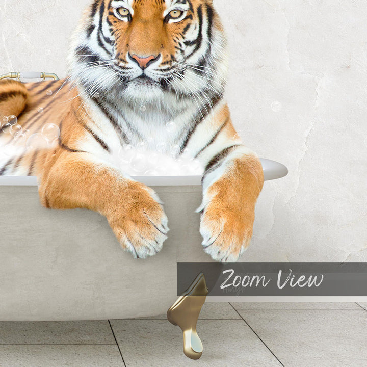 A tiger resting in a bathtub filled with bubbles, with the text "Zoom View" below the image.