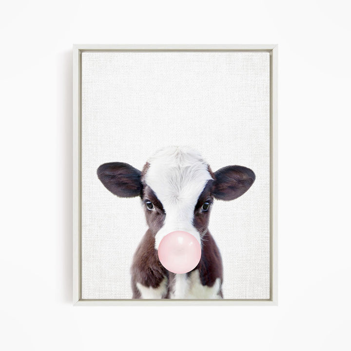 A cute black and white cow with a pink bubble in its mouth, looking directly at the camera.