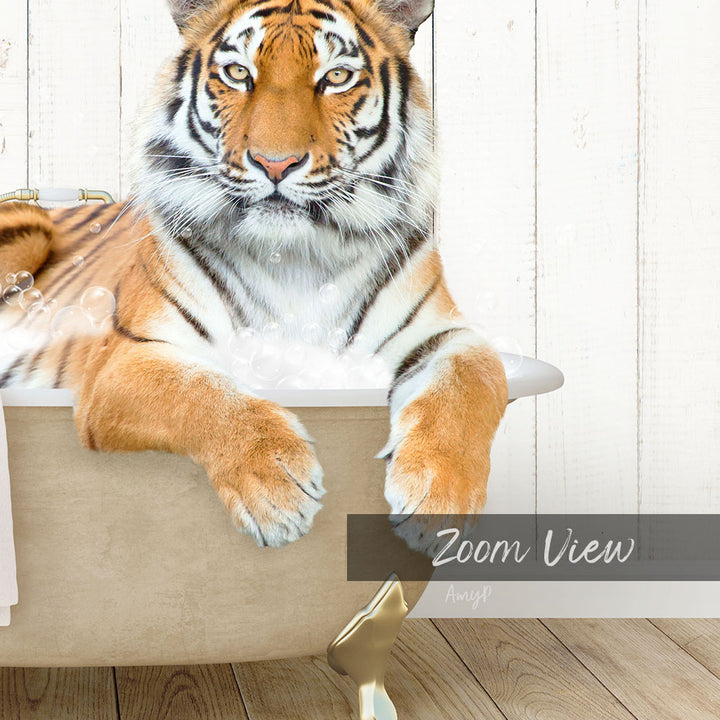 A tiger resting in a bathtub filled with bubbles, with the text "Zoom View" and "Amig" visible in the image.