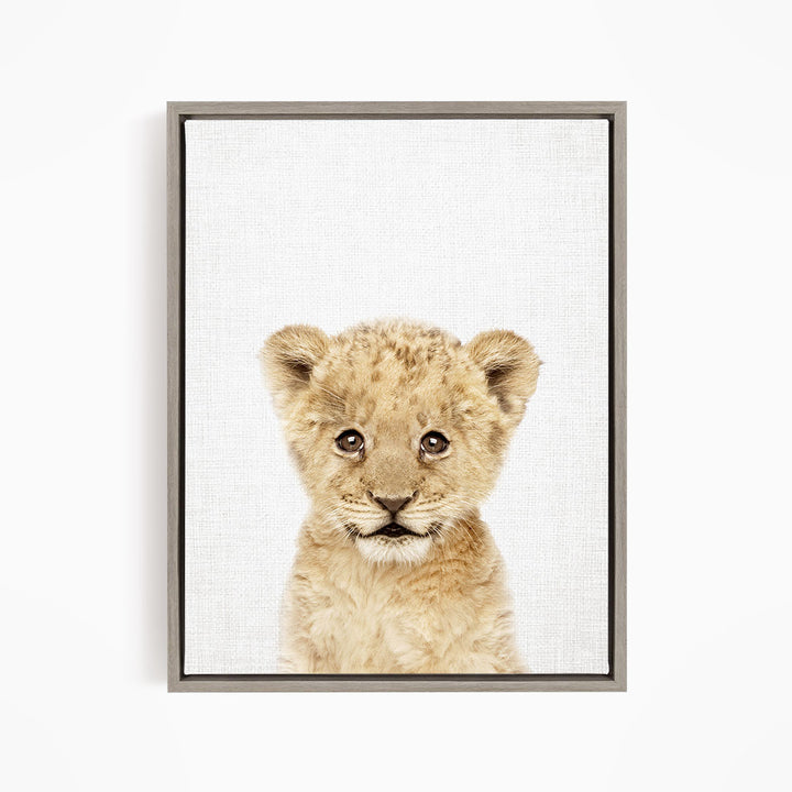 A young lion cub with a curious expression, looking directly at the camera.