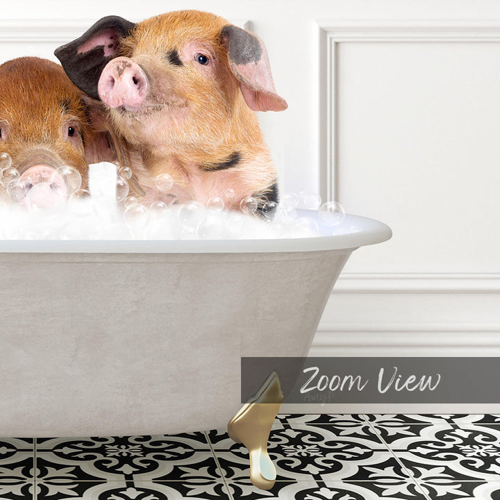 Two adorable pigs sitting in a bathtub filled with bubbles, enjoying a relaxing bath.