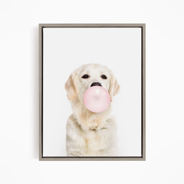 A white dog is blowing a pink bubblegum bubble with its mouth.