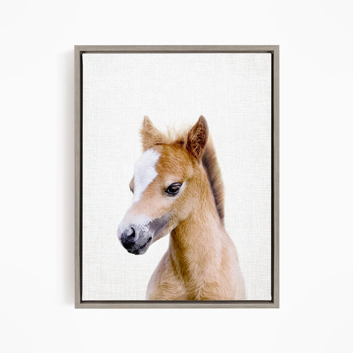 A young horse with a white blaze on its face is the main subject of the image.