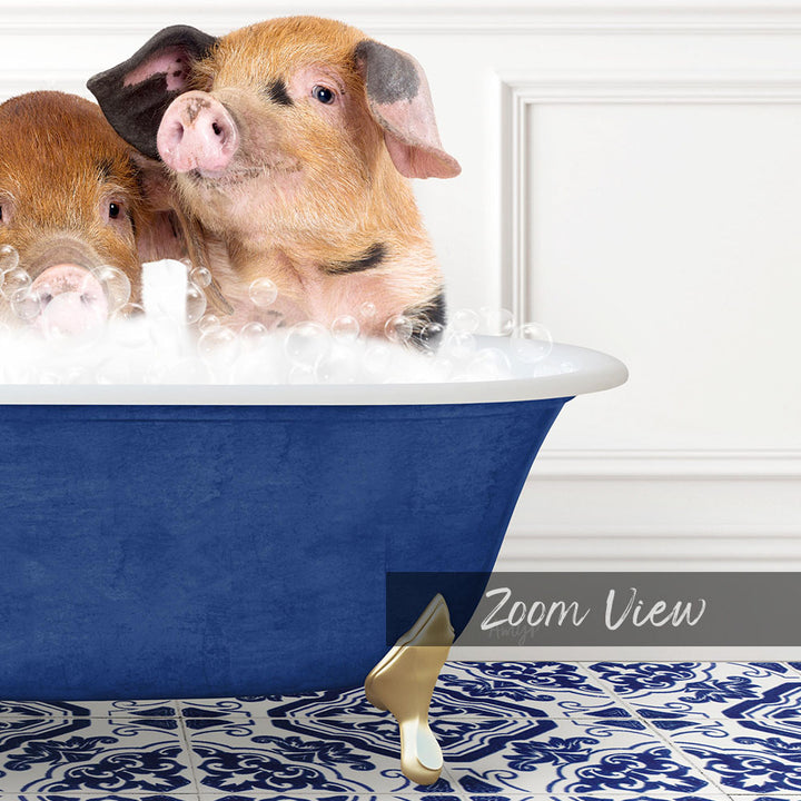 Two adorable pigs sitting in a blue bathtub filled with bubbles, enjoying a relaxing bath.