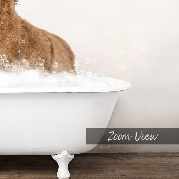 A brown dog sitting in a white bathtub filled with bubbles, with the text "Zoom View" displayed below the image.