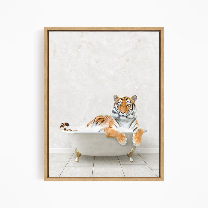 A tiger is sitting in a white bathtub, appearing relaxed and comfortable.