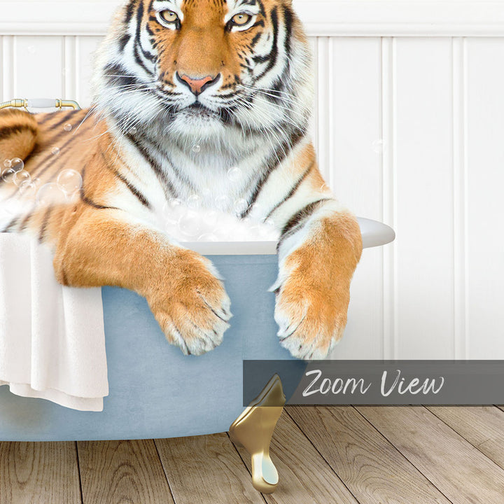 A tiger sitting in a bathtub, surrounded by bubbles, with the text "Zoom View" displayed below the image.