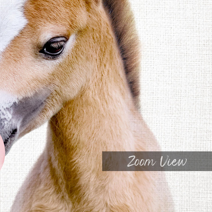A close-up of a horse's head, focusing on its eyes and the soft, furry texture of its neck.