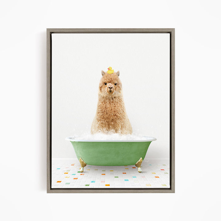 A fluffy brown dog sitting in a green bathtub filled with bubbles, with a yellow rubber duck perched on its head.