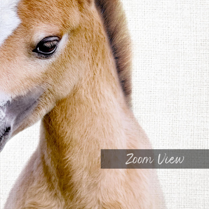 A close-up of a horse's head, focusing on its eyes and the soft, furry texture of its neck.