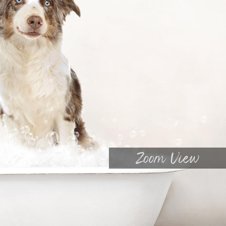 A happy dog sitting in a bathtub filled with bubbles, with the text "Zoom View" displayed below.