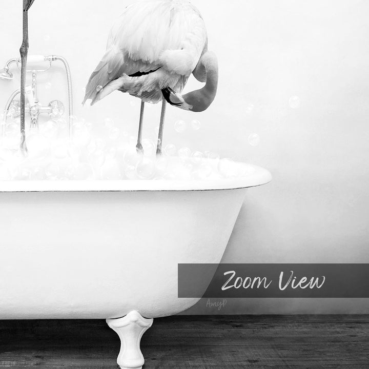 A black and white image of a flamingo standing in a bathtub filled with bubbles, with the text "Zoom View" and "Amyl" in the bottom right corner.