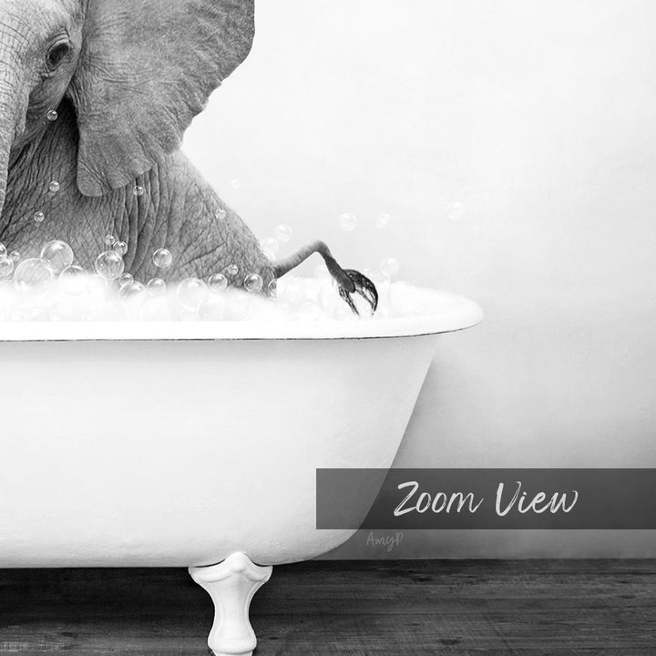 A black and white image of an elephant sitting in a bathtub filled with bubbles, with the text "Zoom View" overlaid on the image.
