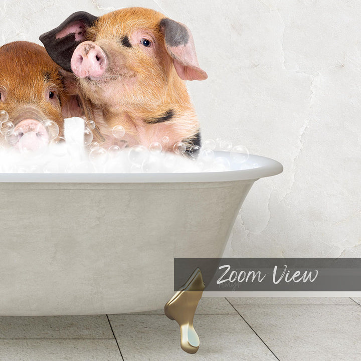 Two adorable pigs sitting in a bathtub filled with bubbles, enjoying a relaxing bath.