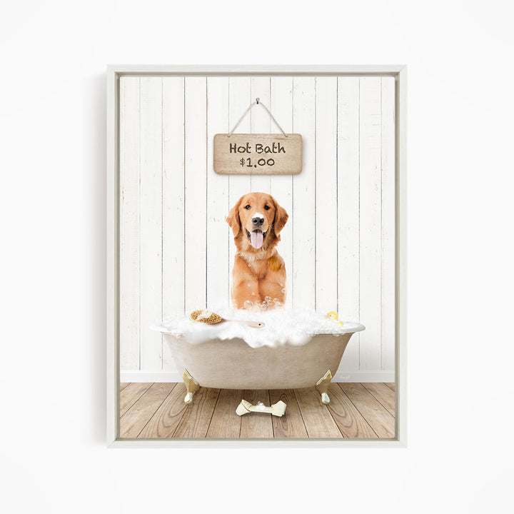 A golden retriever dog sitting in a white bathtub filled with bubbles, with a sign above the tub indicating a hot bath for $1.00.