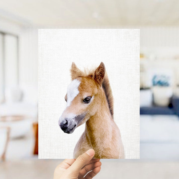 A hand is holding up a square print of a close-up portrait of a brown and white horse with a white blaze on its face.