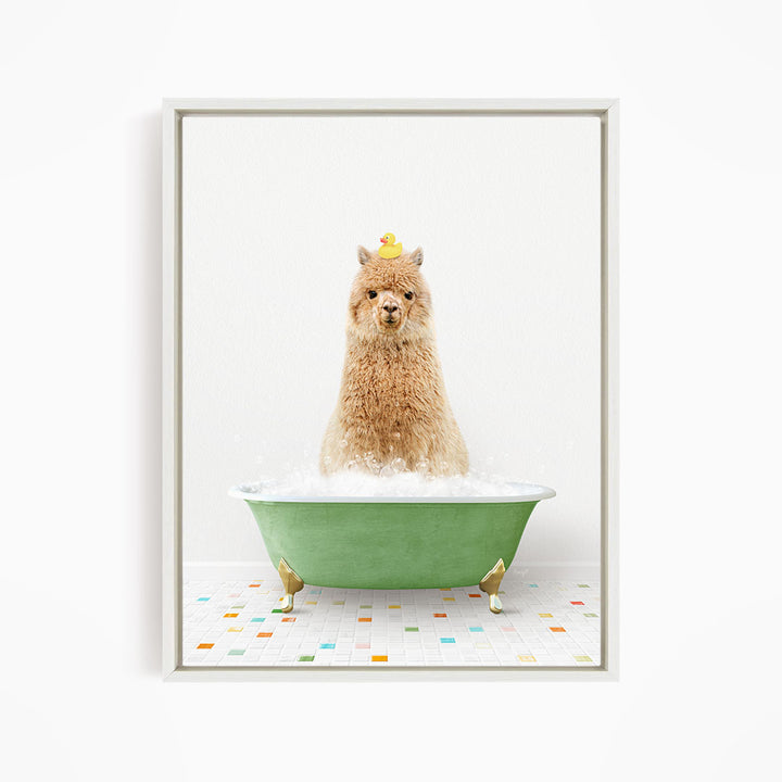 A fluffy brown dog is sitting in a green bathtub filled with bubbles, with a yellow rubber duck perched on its head.