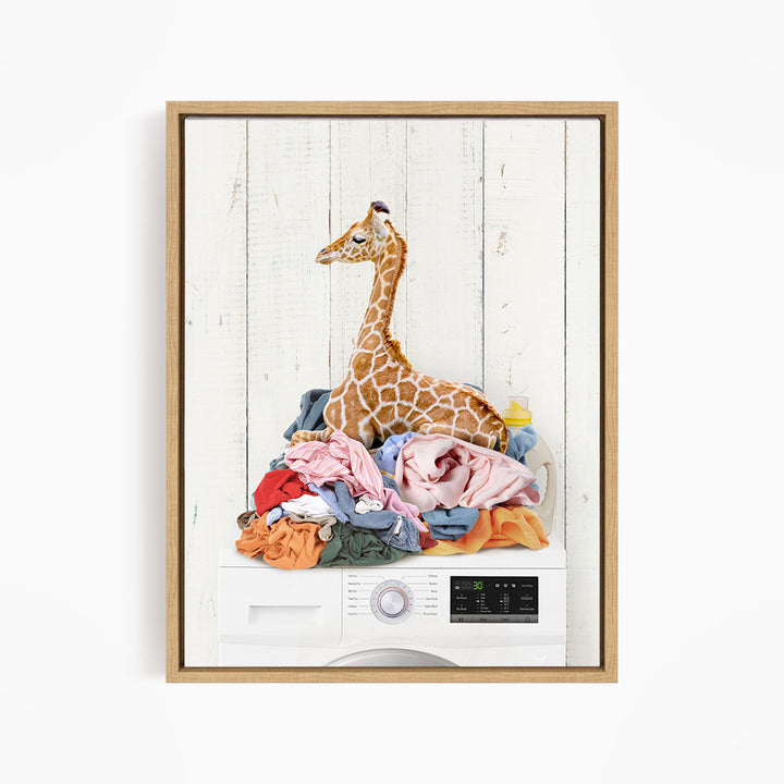 A giraffe sitting atop a pile of laundry in a white-framed picture.