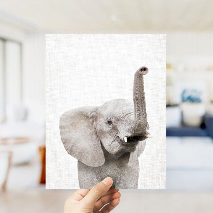 A hand is holding up a framed photograph of a gray elephant with its trunk raised, against a blurred background of a living room.