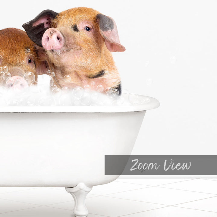 Two adorable pigs sitting in a white bathtub filled with bubbles, enjoying a bath together.