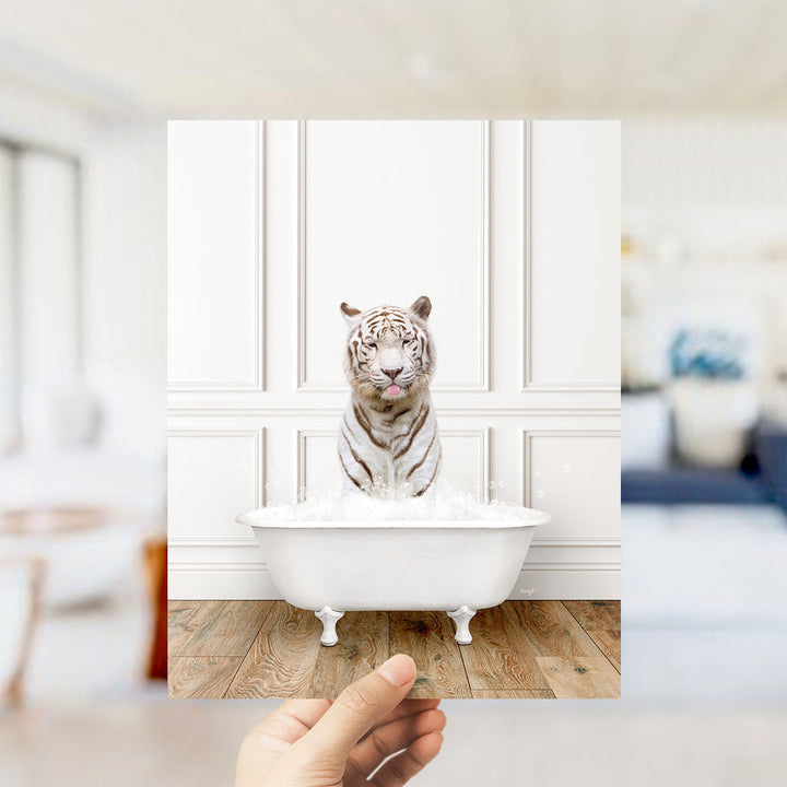 A white tiger sitting in a white bathtub filled with water, with a blurred background suggesting a bathroom setting.
