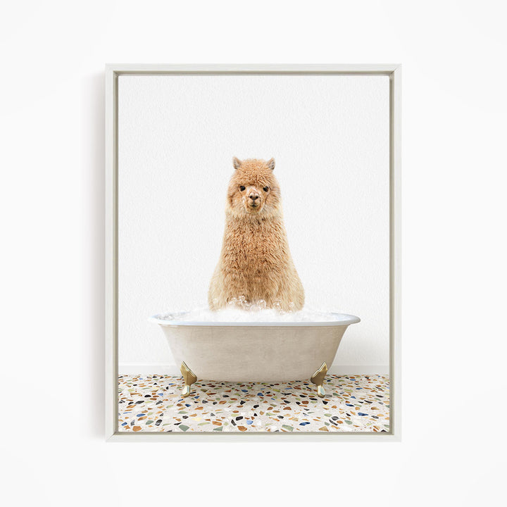 A fluffy brown dog sitting in a white bathtub filled with bubbles, looking directly at the camera.