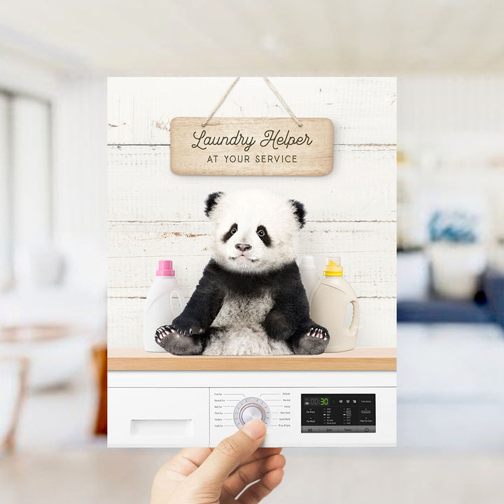 A hand holding a flyer or advertisement featuring a panda bear sitting on a shelf with laundry supplies, such as detergent bottles and a dryer.