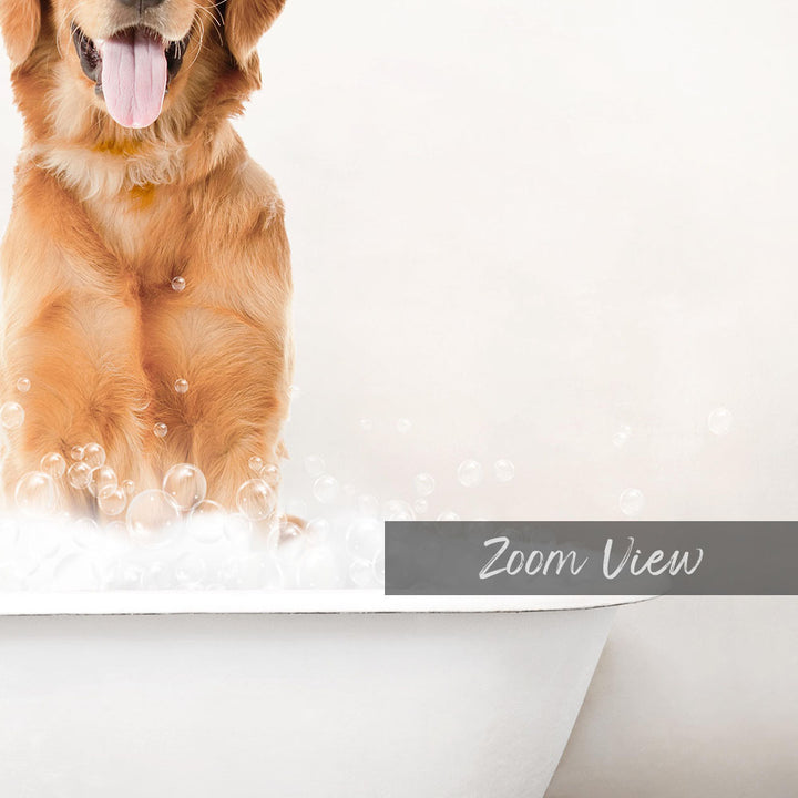 A golden retriever dog sitting in a bathtub filled with bubbles, with the word "Zoom View" written on the side of the tub.