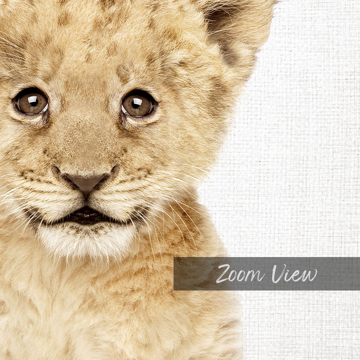 A close-up portrait of a young lion cub with large, expressive eyes and a soft, fluffy coat.