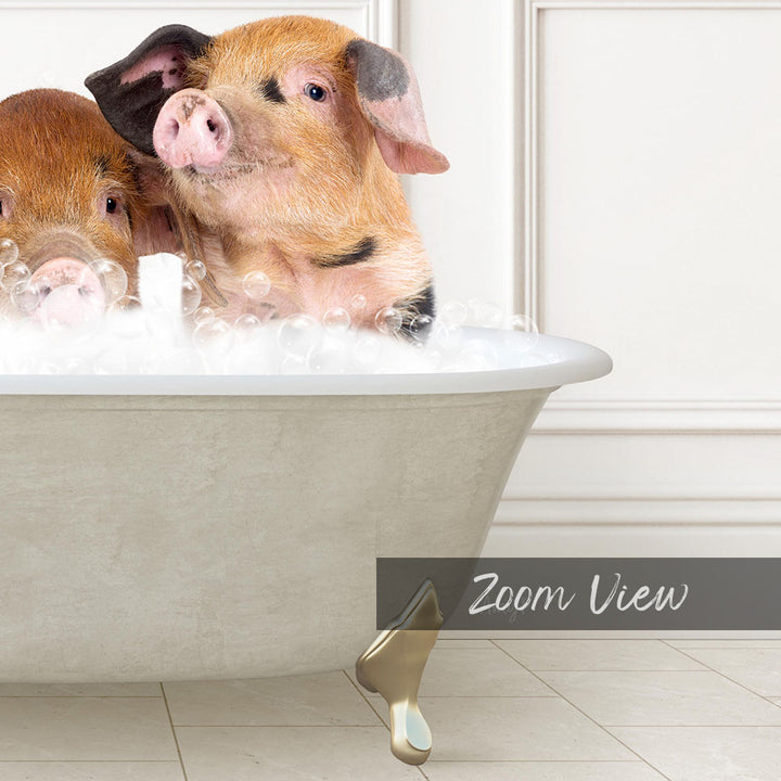 Two adorable pigs sitting in a bathtub filled with bubbles, enjoying a relaxing bath.