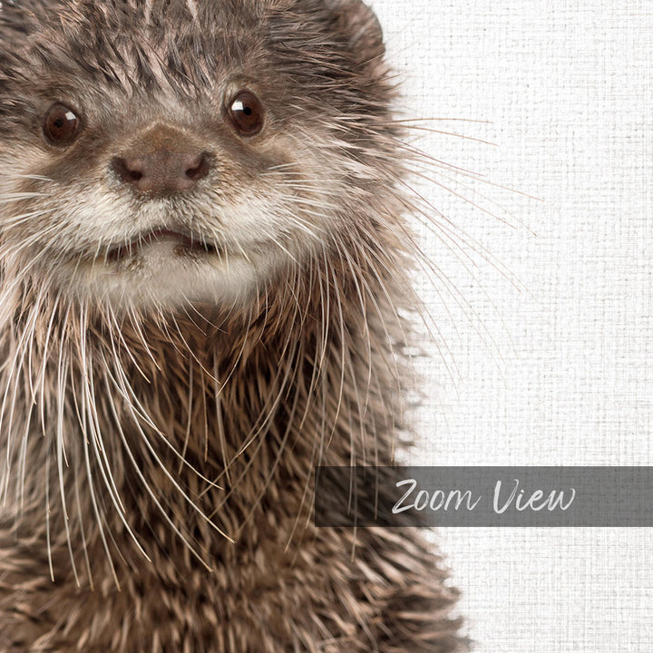 A close-up image of an otter with its distinctive wet fur and large eyes, looking directly at the camera.