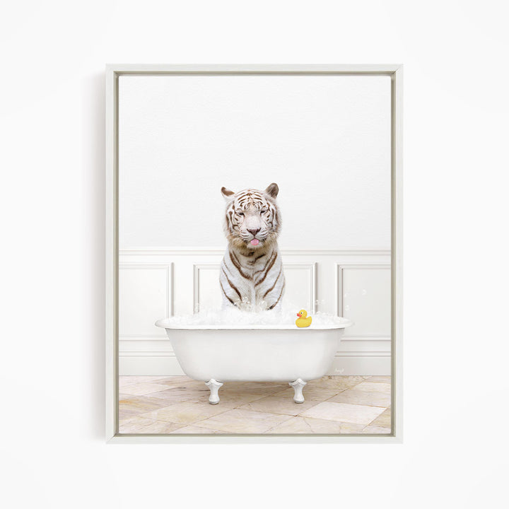 A white tiger sits in a white bathtub, with a rubber duck floating in the water.