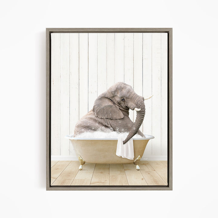 Young Elephant in Farmhouse Bath