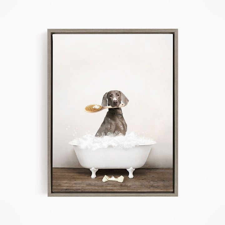 Weimaraner in Rustic Bath Style Lots of Foamy Bubbles