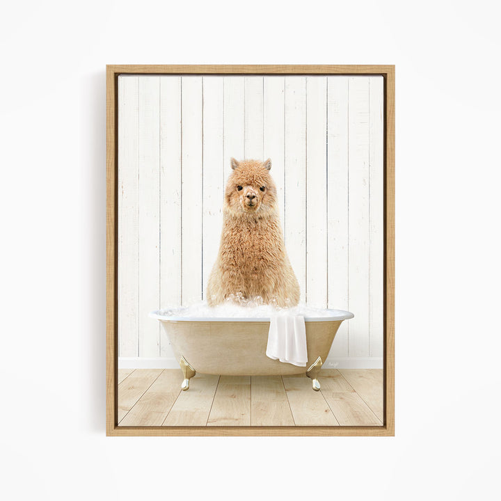 Alpaca in Farmhouse Bath